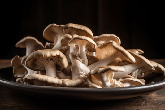 Incroyables recettes de champignons d'huîtres: une délicieuse expérience culinaire